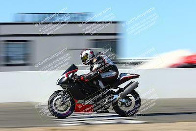 media/Jan-09-2022-SoCal Trackdays (Sun) [[2b1fec8404]]/Front Straight Speed Shots (1pm)/